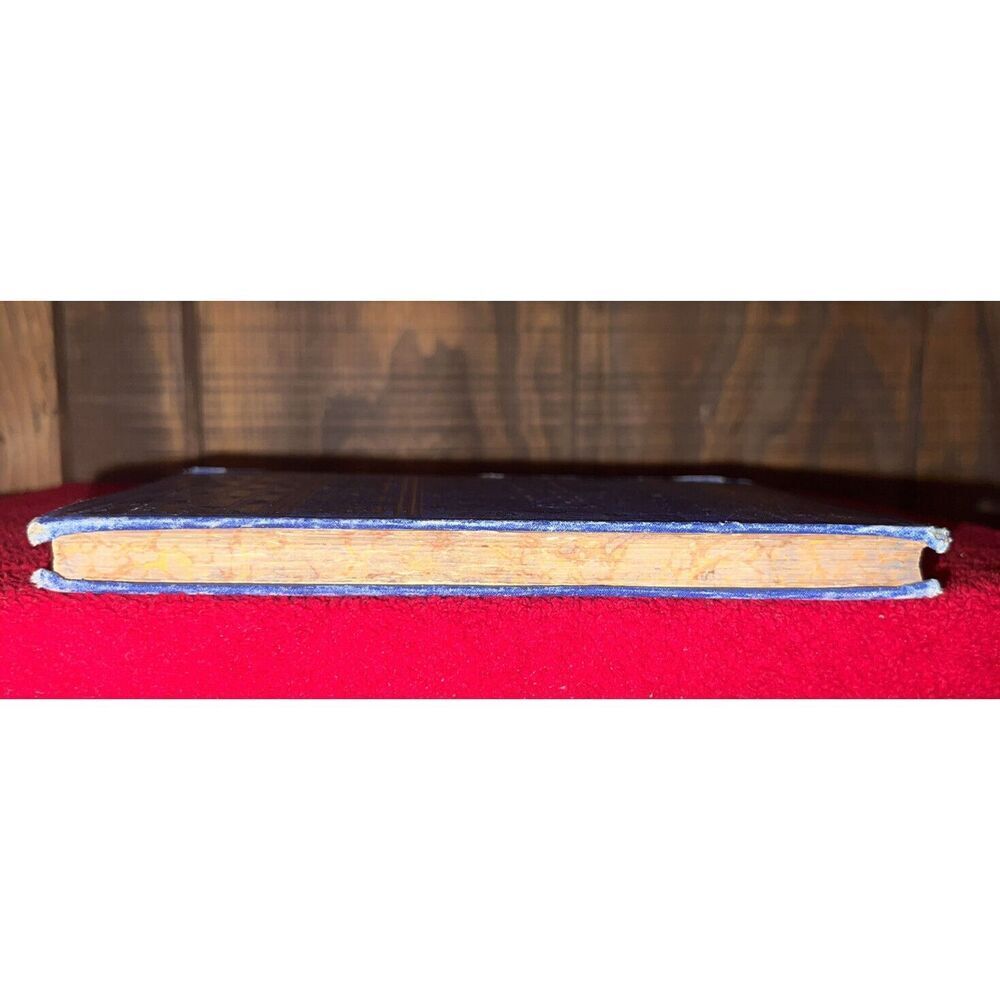 Rare Antique 1881 Antique Blue Hardcover Book French Echo by James H. Worman - Picture 5 of 16
